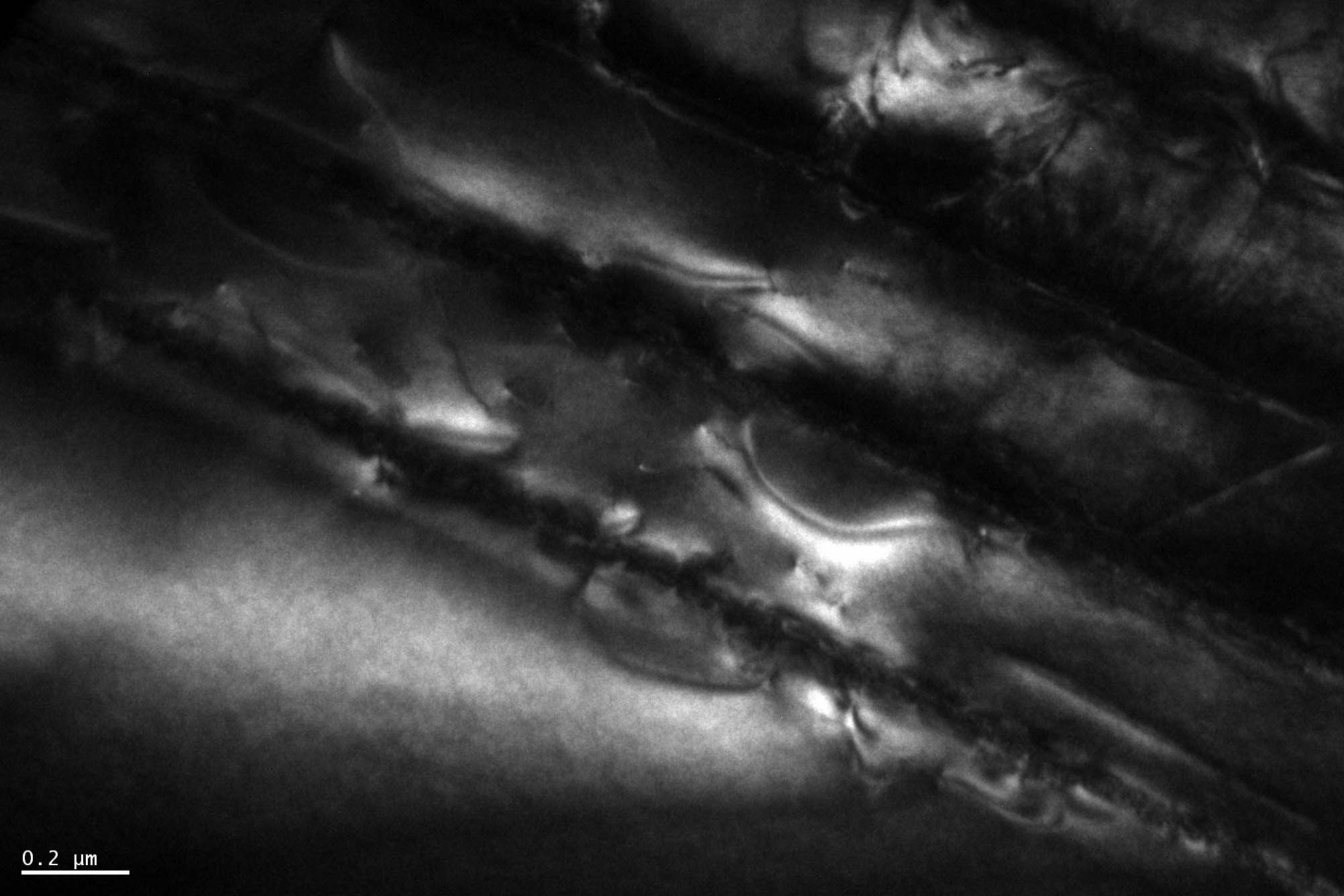 110509a_B001_10Kx