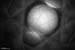 110509a_B004_60cm
